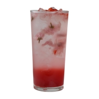 Cherry Blossoms Strawberry Soda